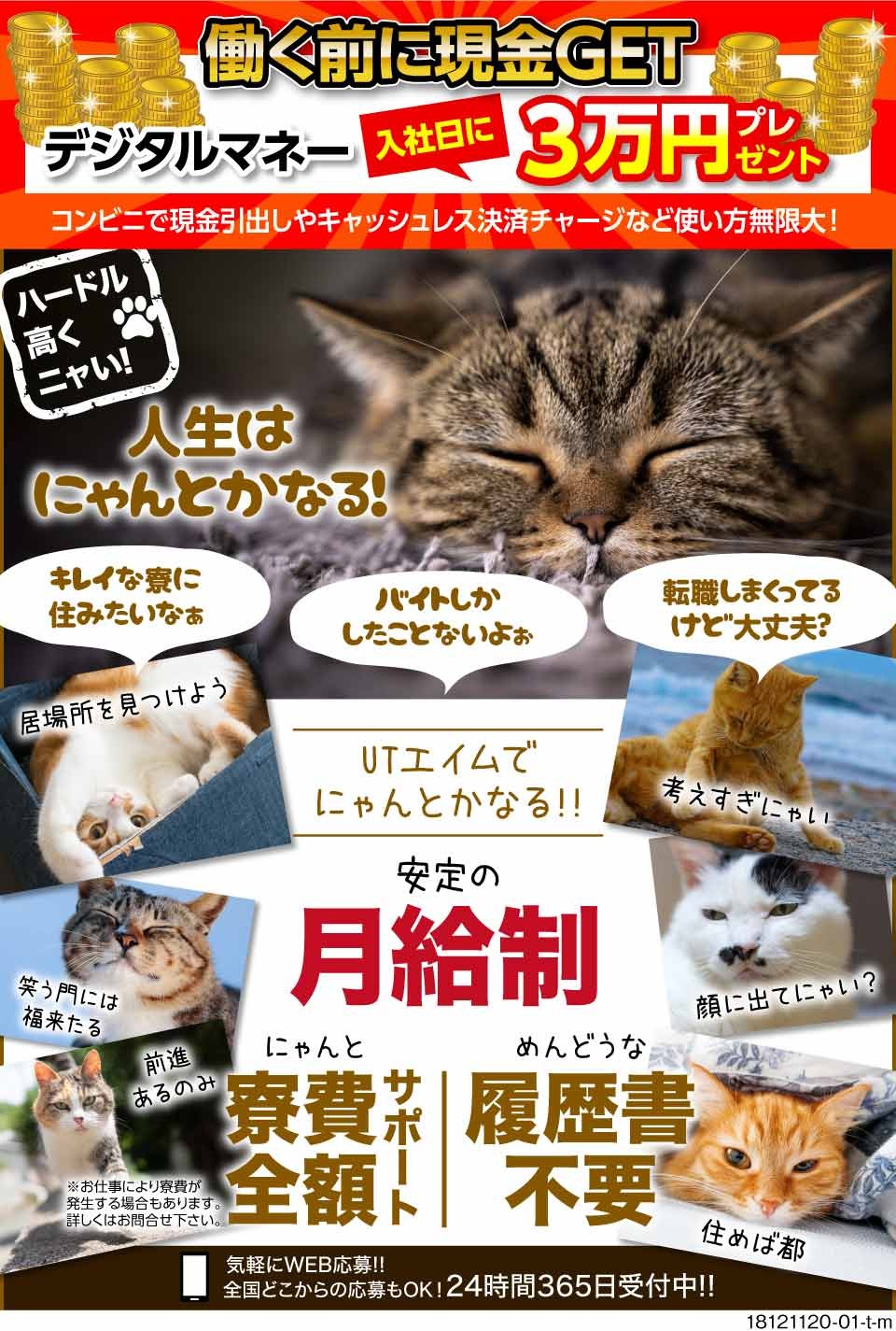 Utエイム株式会社 愛知県西尾市 人生にゃんとかなるのだ 未経験でも転 工場求人のジョブコンプラス